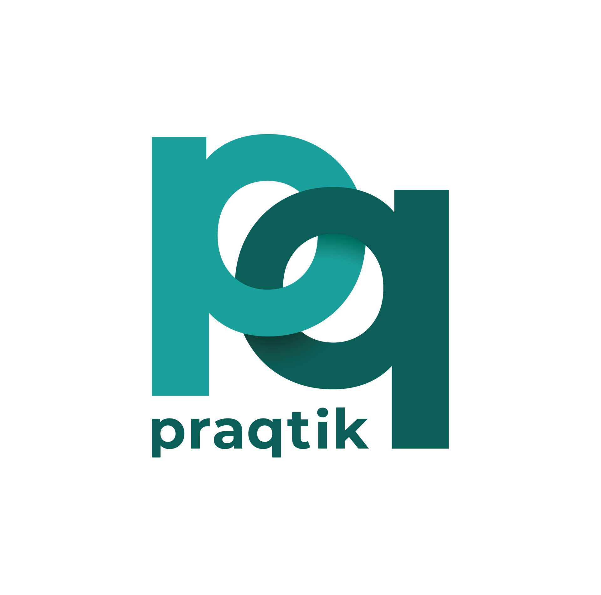 Praqtik_logo-01 (1)